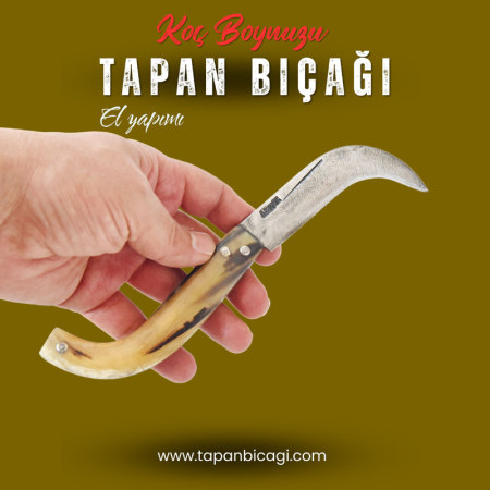 Tapan Ters Aşı Bıçağı 22-24 cm Koç Boynuzu Kara Çelik Ala